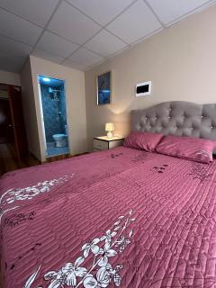 Valle del Pillco - 1