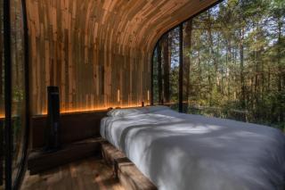 WANDER Cabins Villa Alpina - 7