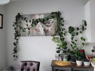 Charming home in North Edmonton - 4