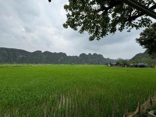 Rice Field Homestay - 2