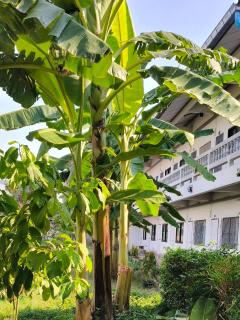 Beam Place Korat - Near Central & Mega Home - 7