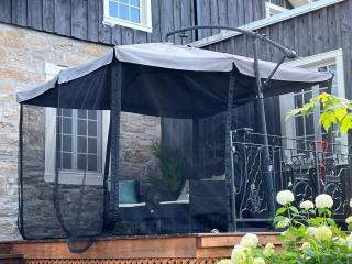 Historic Riverfront, 30 min to downtown Montreal - 1