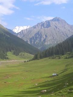 Elmar Ordo Yurt camp AltynArashan - 9