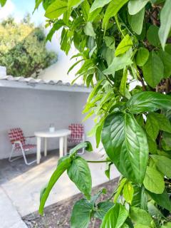 Apartamento Atti, Alto Alberdi - 6