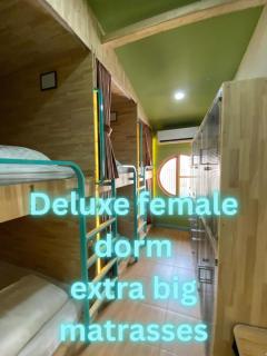 La Vida Hostel Chiang Mai - 4