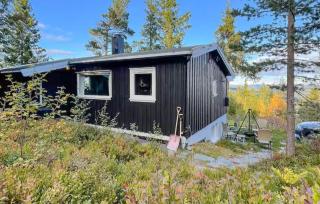 Amazing Home In Bø I Telemark With Sauna - 1