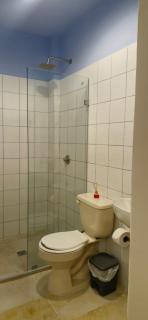 Loft 203 H54 WAIWA HOST - 9