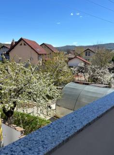 Apartament excepțional Ramona - 4