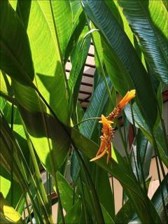 MyRoom An Viên - District 1 - 6