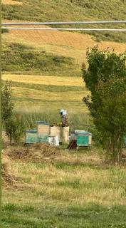 Mountain View Wooden House - 2