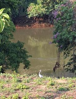 ขุนเขาฟาร์มสเตย์ KhunKhao Mountain Farmstay - 4