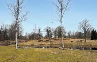 Cozy Home In Holsbybrunn With Wifi - 9