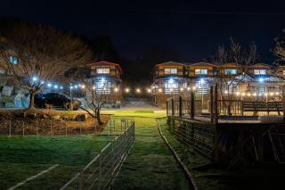 Green Bee Pension - 7