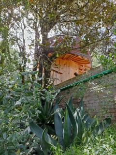 Mushroom-shaped cabins - 7