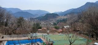 Green Bee Pension - 5