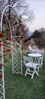 Green Bee Pension - 4