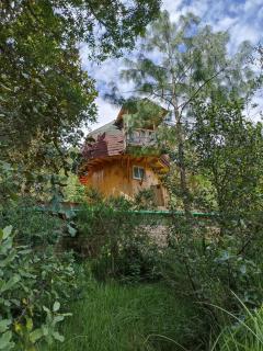 Mushroom-shaped cabins - 6