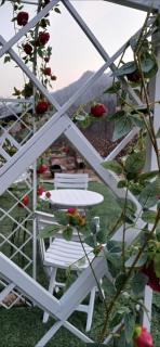 Green Bee Pension - 3