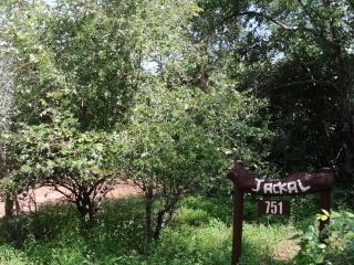 Mcable bush Retreat - 9