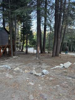 Ponderosa Pines Cabin with Treehouse and Zipline - 8