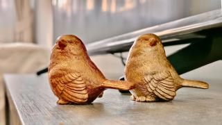 Little Sparrow Hideaway - 5