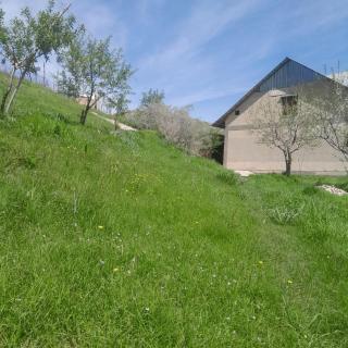 Le Fortin - 1