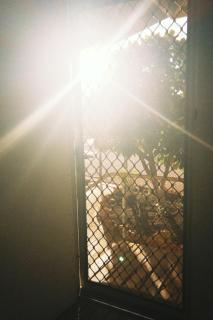 The Desert Shack - 7