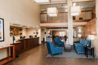 Comfort Suites Effingham Central - 4