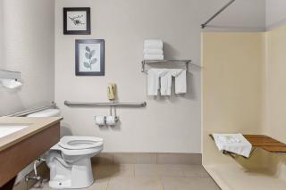 Country Inn & Suites by Radisson Kenosha - Pleasant Prairie - 6