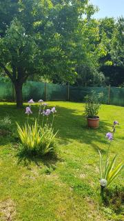 Galagonya Vendégház-Hegyvidéki szálláshely - 9