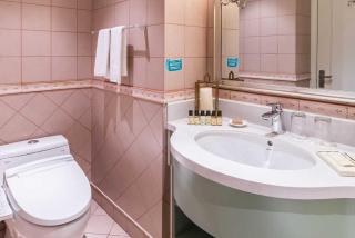 Green Court Residence City Center, Shanghai - 8