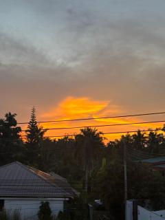 Blissful well treat - 6