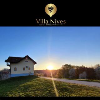 Villa Nives, wine region Jeruzalem - 0