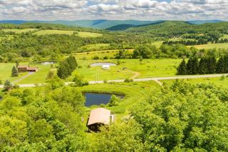 Peaceful Cabin Retreat with Mountain Views & Private Acreage in Hamden, New York - 3