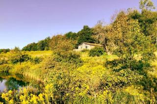 Peaceful Cabin Retreat with Mountain Views & Private Acreage in Hamden, New York - 2