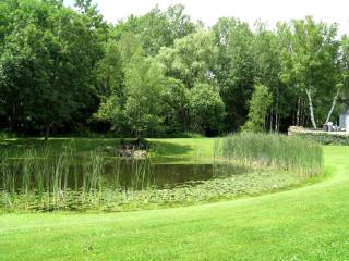 Charming Pet-Friendly Getaway with Deck & Nature Views in East Meredith, New York - 6