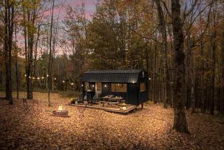 Off-Grid Tiny Cabin Retreat with Fire Pit & Forest Views in Bovina, New York - 0