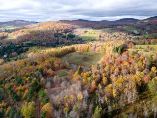 Off-Grid Tiny Cabin Retreat with Fire Pit & Forest Views in Bovina, New York - 3