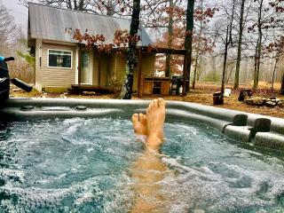Tranquil Lakefront Cabin Surrounded by Woods, Wildlife & Scenic Trails in Williford, Arkansas - 8