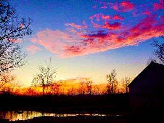 Tranquil Lakefront Cabin Surrounded by Woods, Wildlife & Scenic Trails in Williford, Arkansas - 6