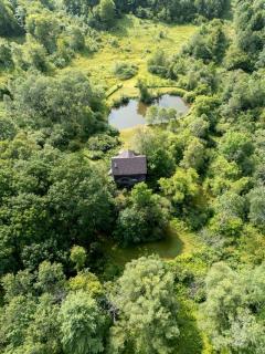 Secluded Creative Hideaway with Pond, Porch & Forest Views in Andes, New York - 5