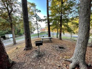 Spacious Lakeview Cabin with Fishing Pier Access Near Zwolle, Louisiana - 1