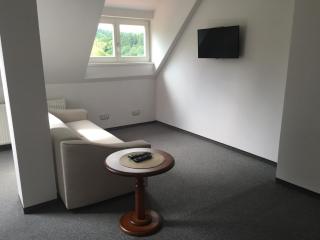 Akropolis Apart Hotel - Karlovy Vary - 9