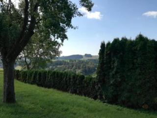 Ferienhaus in Altenfeld Thüringen mit Garten - 5