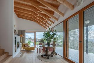 Villa with a pool near a forest, just 20 minutes from downtown Ljubljana - 4