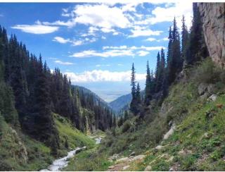 Guest house Takabayi - 2