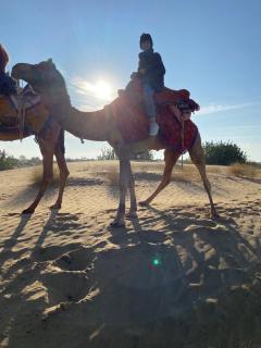 Jaisalmer Hostel Dara - 7