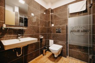 Villa Bellini Borszék - 7