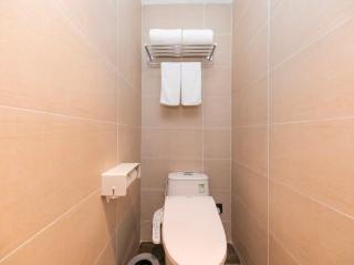 Hanting Premium Hotel Shanghai Jiuting Metro Station - 5