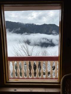 Sojhaholidayinn - Shoja - 8